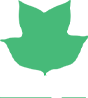 Logo Le Tulipier